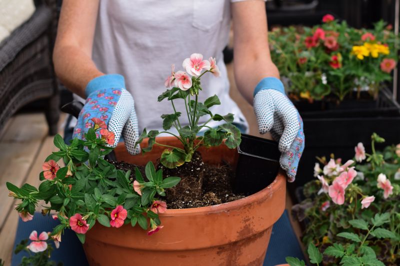 Top Rated Products for Plant Repotting
