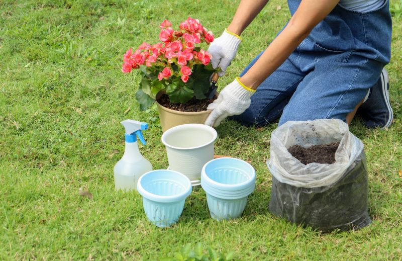 Products For Plant Repottings in use